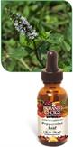 Peppermint Leaf Alcohol Free Liquid Extract by Botanic Choice